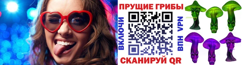 сколько стоит  Нерюнгри  hydra вход  Псилоцибиновые грибы Psilocybine cubensis 