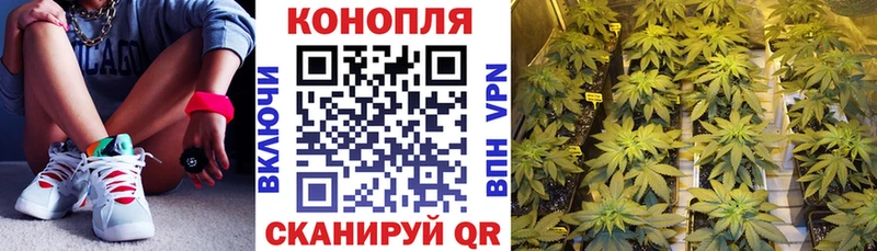OMG как войти Нерюнгри Каннабис гибрид
